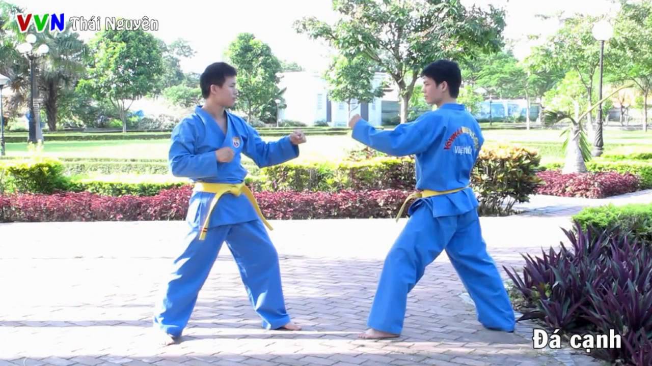 Vovinam - Các đòn thế Té ngã - Đạp - Đá