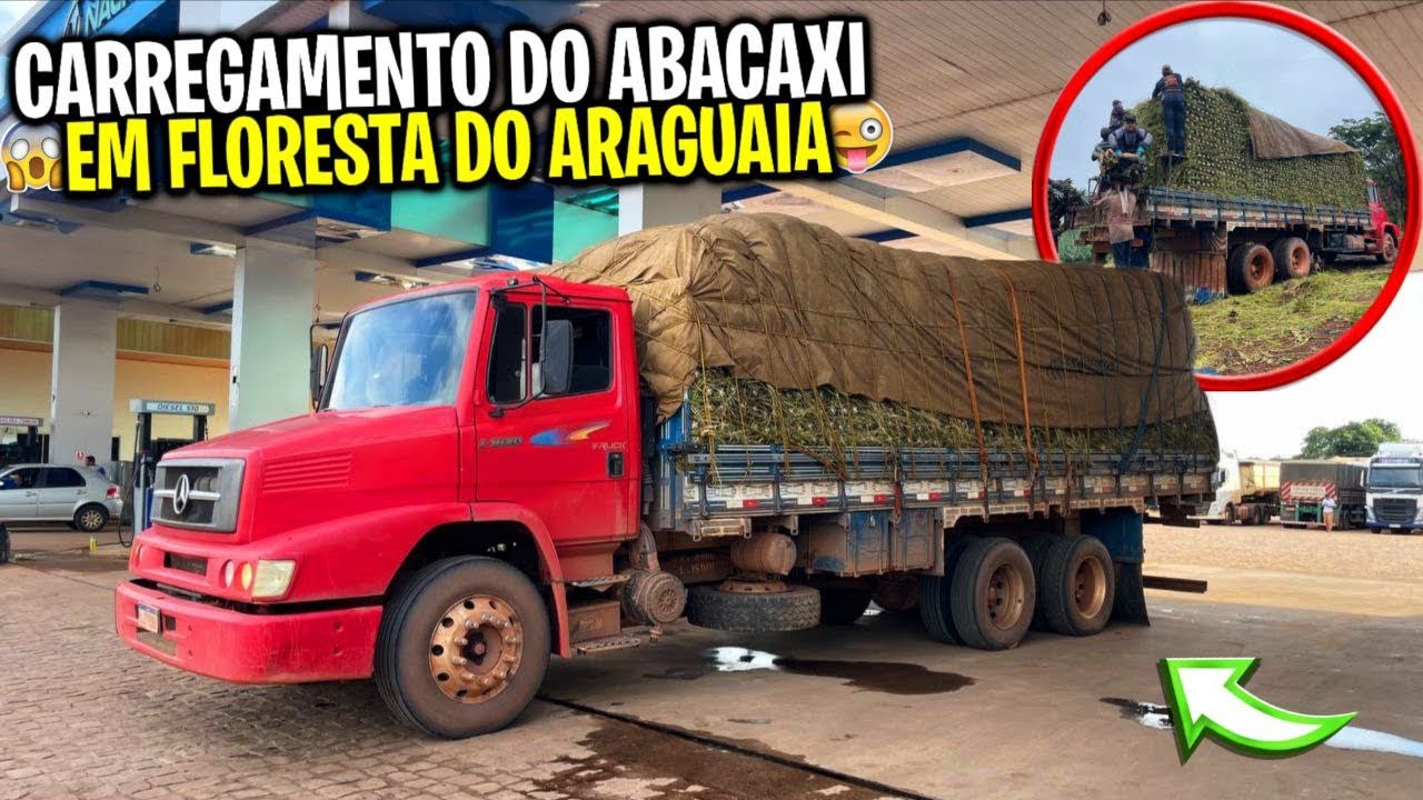 CARREGANDO DO ABACAXI EM FLORESTA DO ARAGUAIA 🚛💥🍍