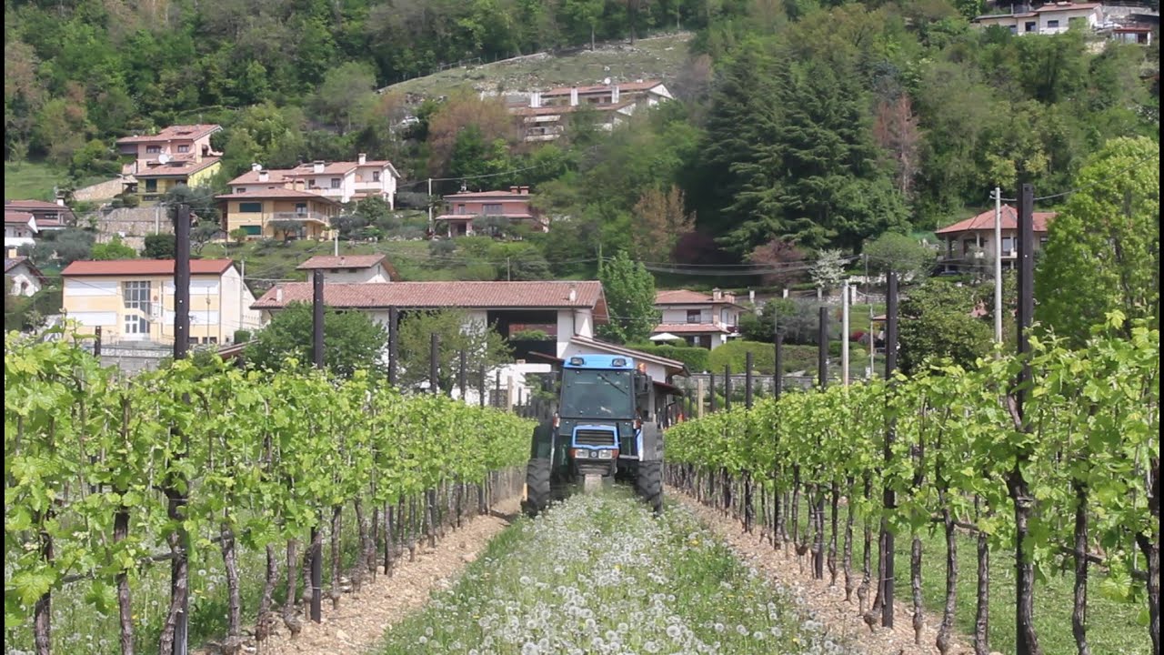 Landini Advantage 85L + Berti