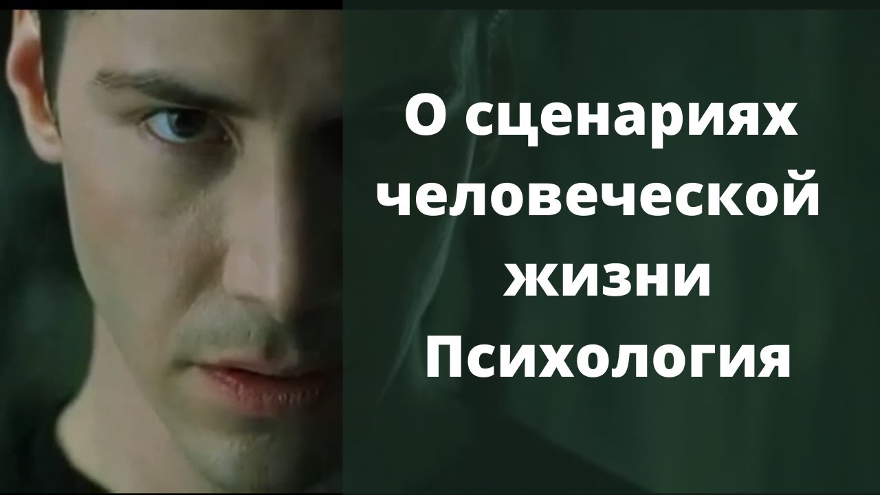 О сценариях человеческой жизни. Психология.