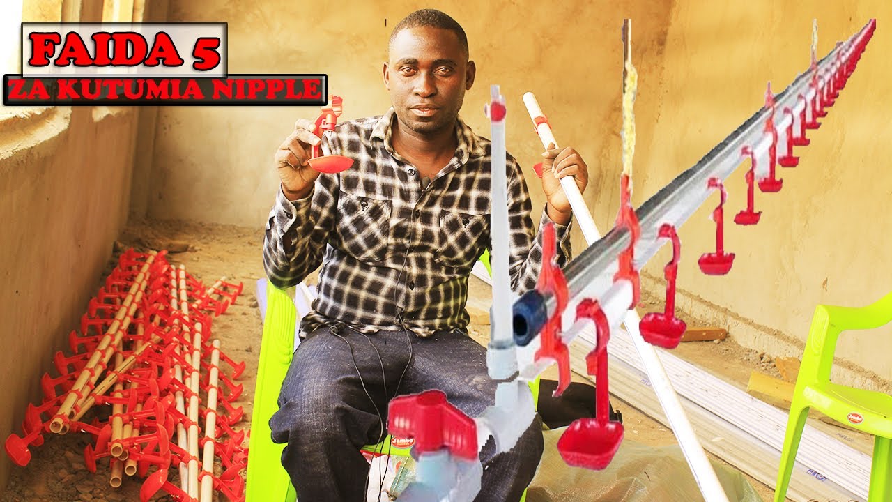 UFUGAJI WA KUKU KWA KUTUMIA NIPPLE DRINKING SYSTEM
