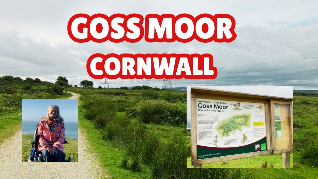 Goss moor nature reserve, atmospheric day on the track through parts of the moor near St Austell