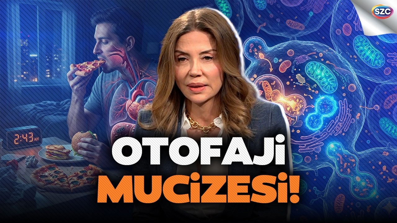 En Geç 23'te Uyumazsanız Vücudunuzda Neler Oluyor? | Dr. Ayşegül Çoruhlu Anlatıyor