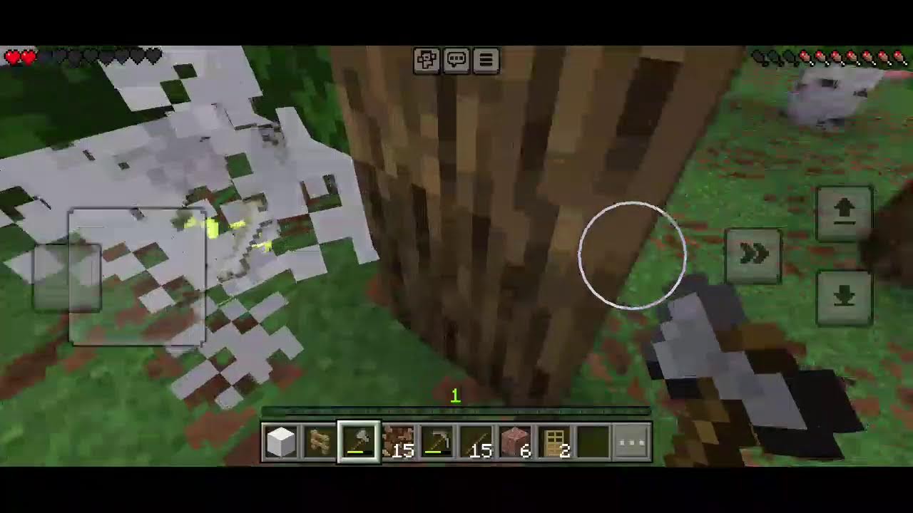 playing minecraft