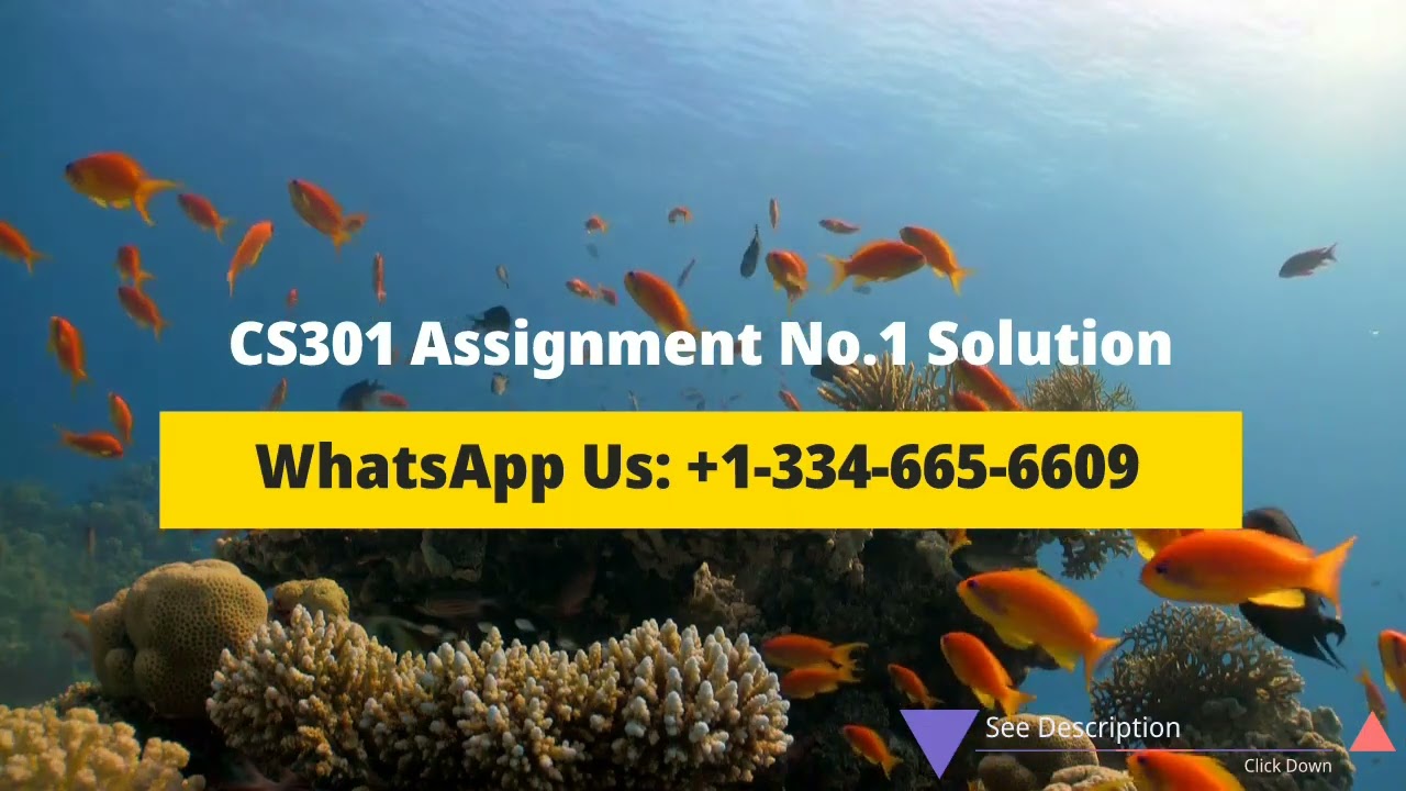 CS301 Assignment No. 1 Solution Spring 2023