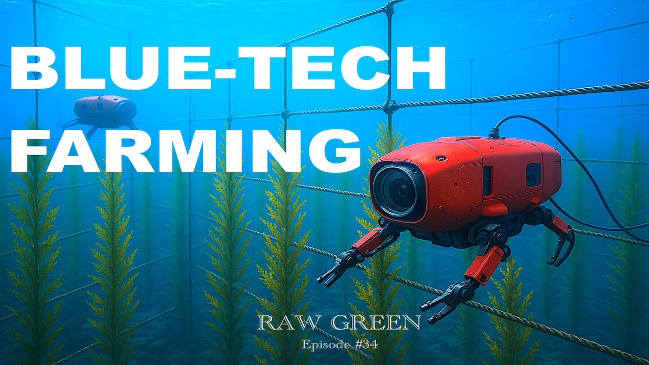 AI, Robots & Seaweed: How Samudra Oceans Is Building the Blue-Economy Boom