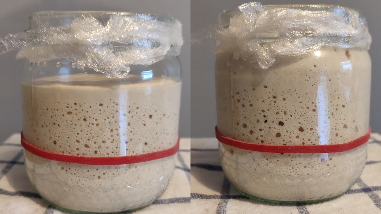 🍕 Comment REBOOSTER son LEVAIN NATUREL en 2h 😱 (boom boom boom) 63/365