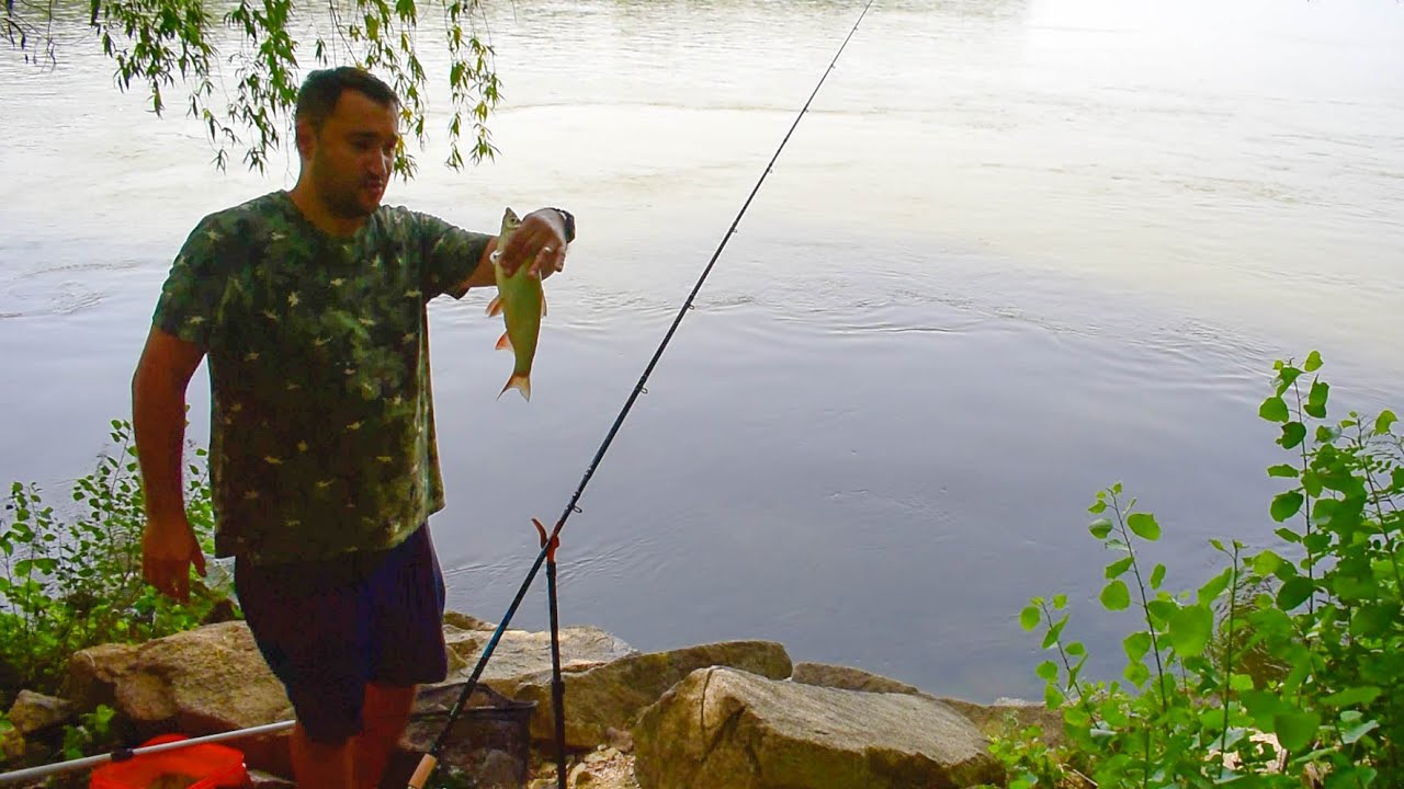 PESCUIT PE DUNARE. 🎣🐟🐠Scobari prinși intr-o partida fulger⚡   la Dunăre pe canicula! 🥵❗❗❗