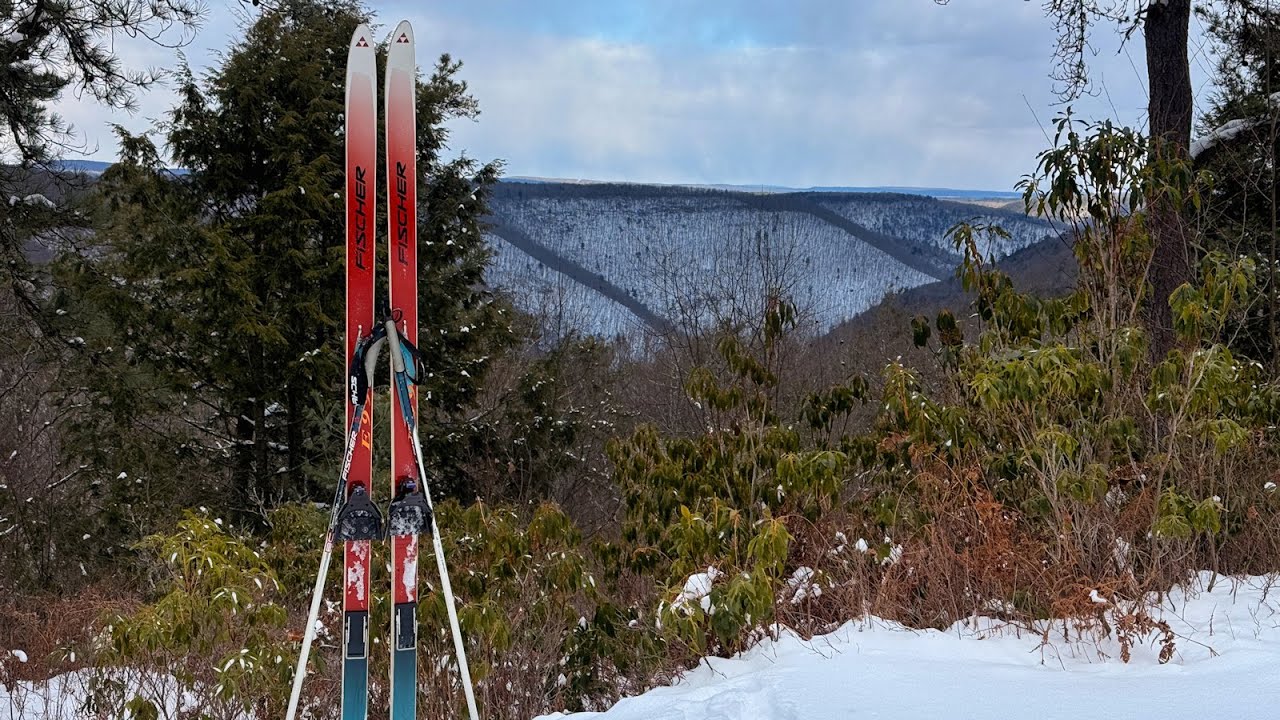 XC Ski - Enjoying Set Ski Tracks on the Pitch Pine Loop, Tiadaghton State Forest - January 29, 2026