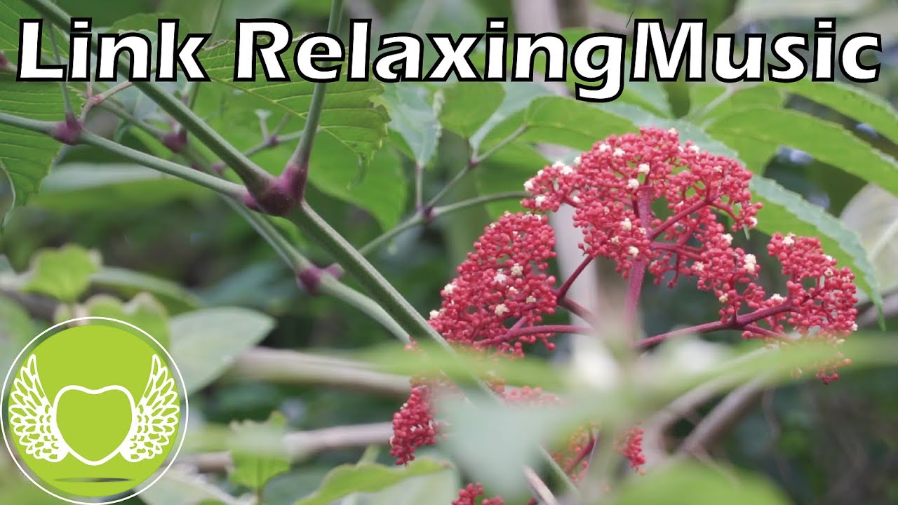 Effortless Harmony 🧡：Relaxing Piano Music with Gentle Stream Sounds-20230818