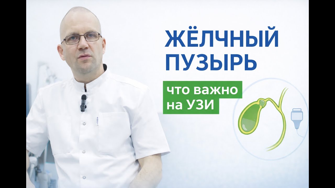Простым языком рассказываю, как устроен желчный пузырь