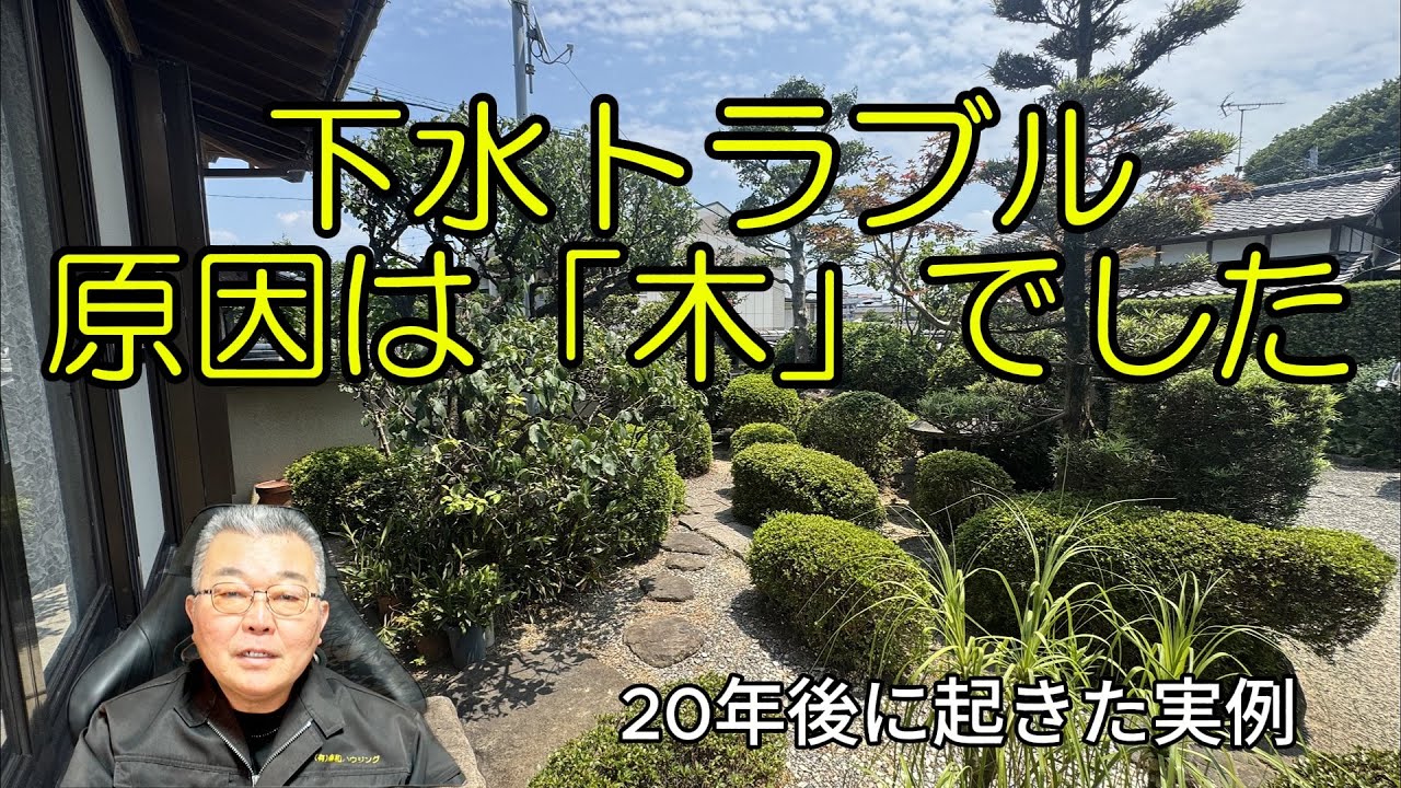 その植栽大丈夫？｜20年後に起きた外構トラブルの実例