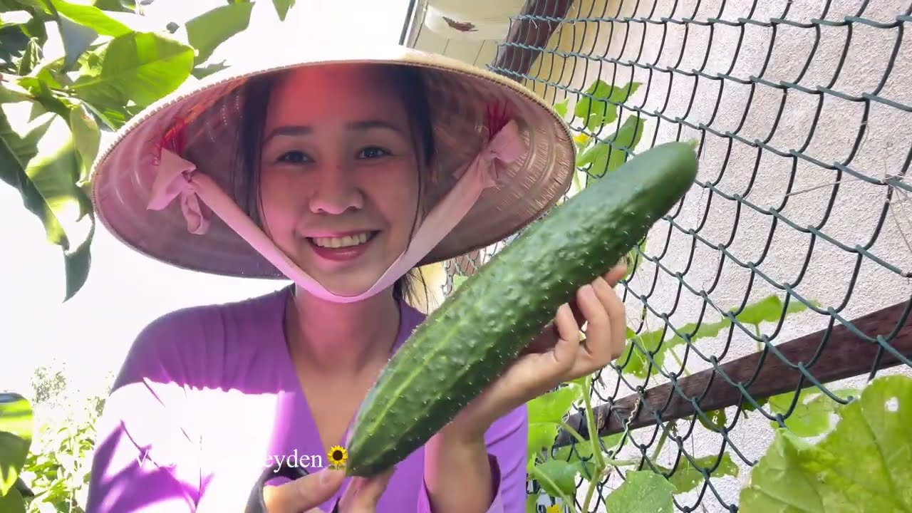 ✅ Thu Hoạch Dưa 🥒Cà Tím 🍆, Cà Chua 🍅Vườn Nhà Leyden