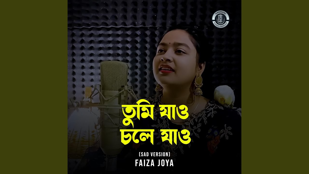 Tumi Jao Chole Jao (Sad Version)