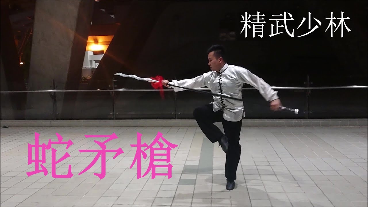 Eighteen Weapons: Snake Spear(Chinwoo Shailin) 十八般兵器：蛇矛槍(精武少林)