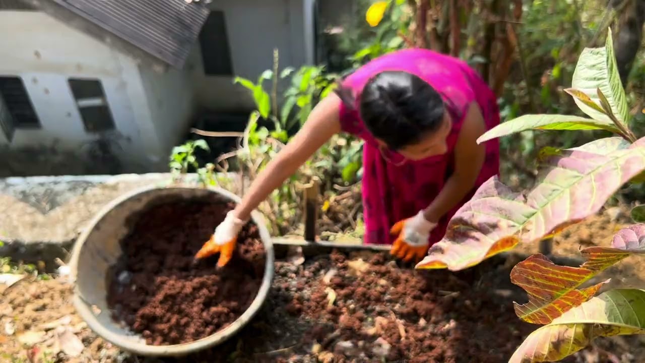 Summer mini garden preparation #minigarden # YouTubeviralvideo #changlang #arunachalpradesh #india 