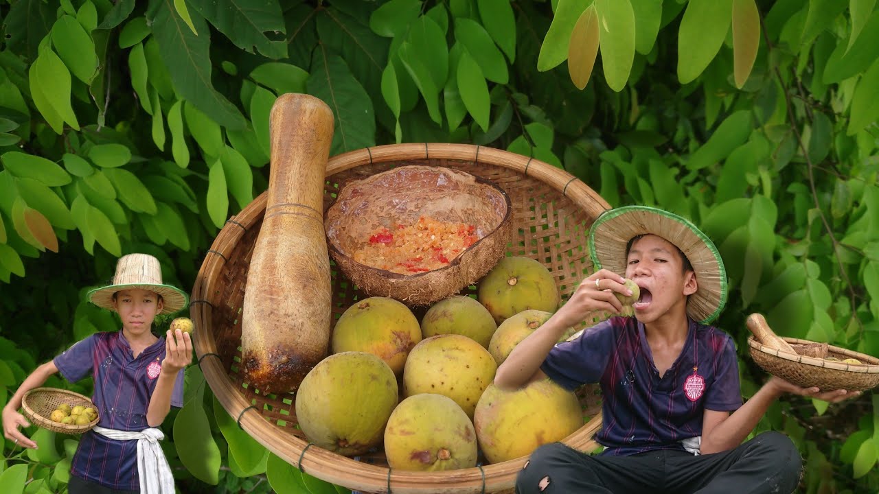 Primitive Vev Kh-Pick wild fruits and eat them really delicious&minus;Eating Show in Fores