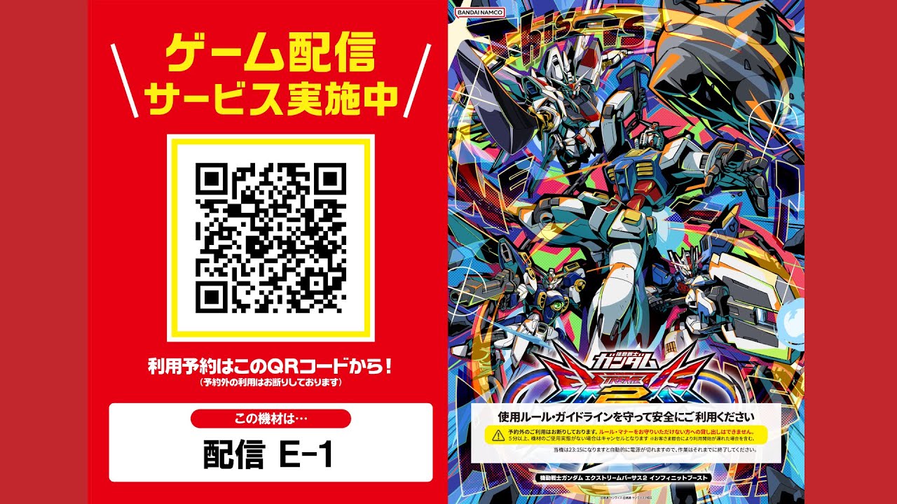 固定練習配信　ホウセンカ