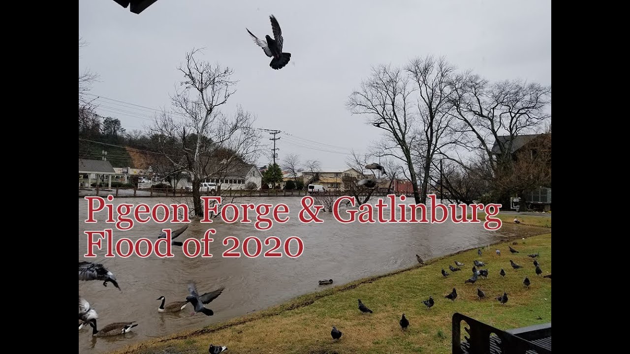 Pigeon Forge, Sevierville & Gatlinburg Tennessee Flood 2020