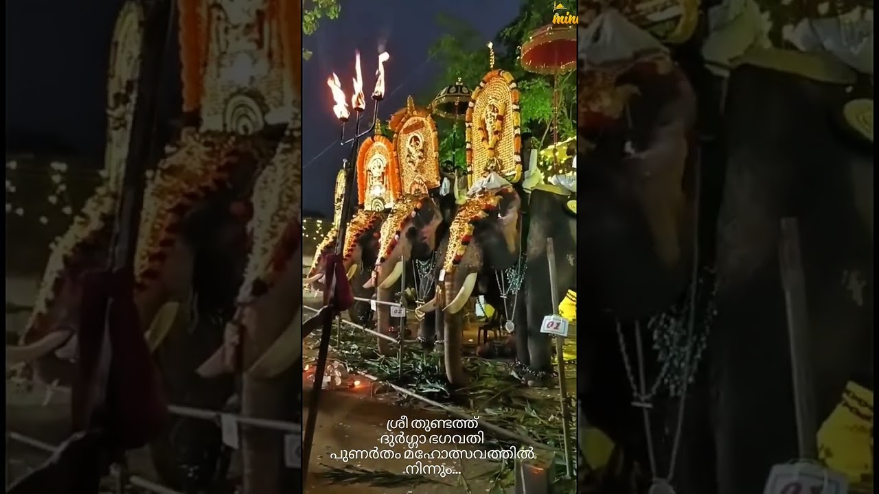 പീച്ചി ശ്രീ തുണ്ടത്ത് ദുർഗ്ഗാ ഭഗവതി പുണർതം മഹോത്സവം 