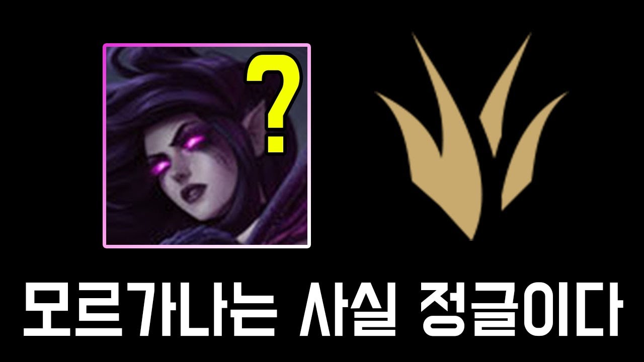 모르가나 정글