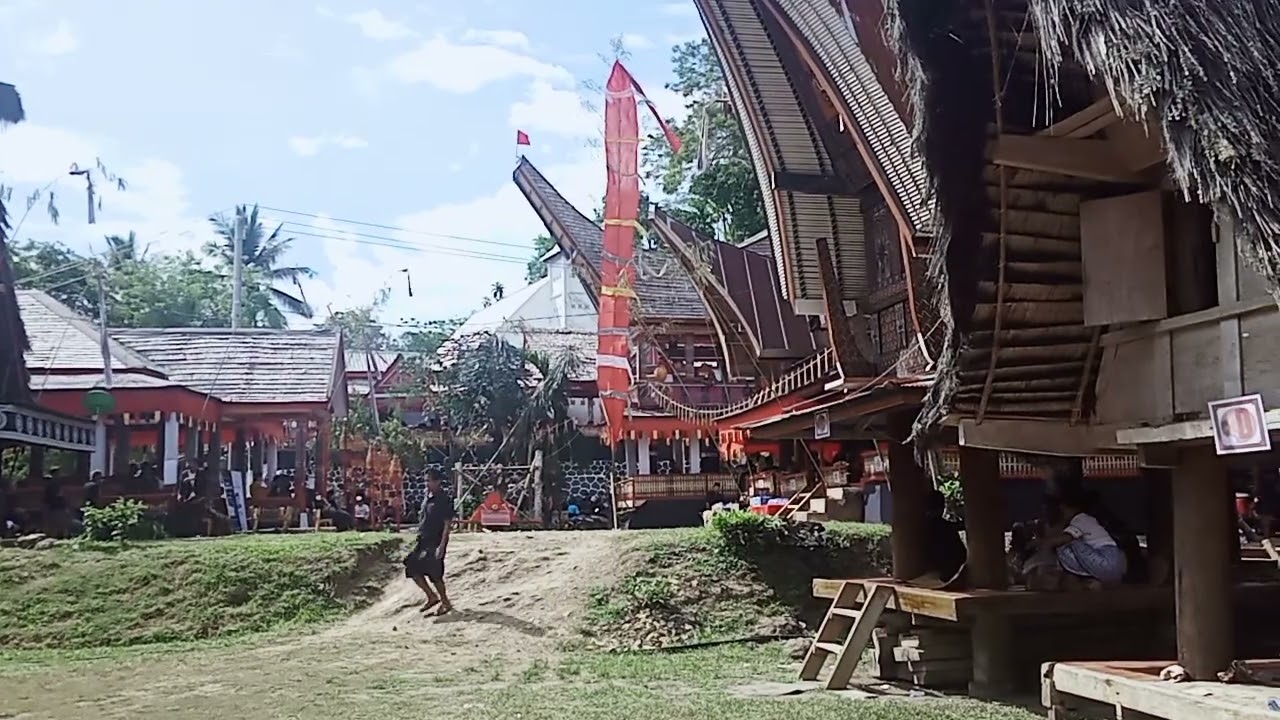 Mangrimba Atau Mebala Kollong dalam Ritual Rambu Solo' di Pantilang Bastem #bastem #budaya #toraja