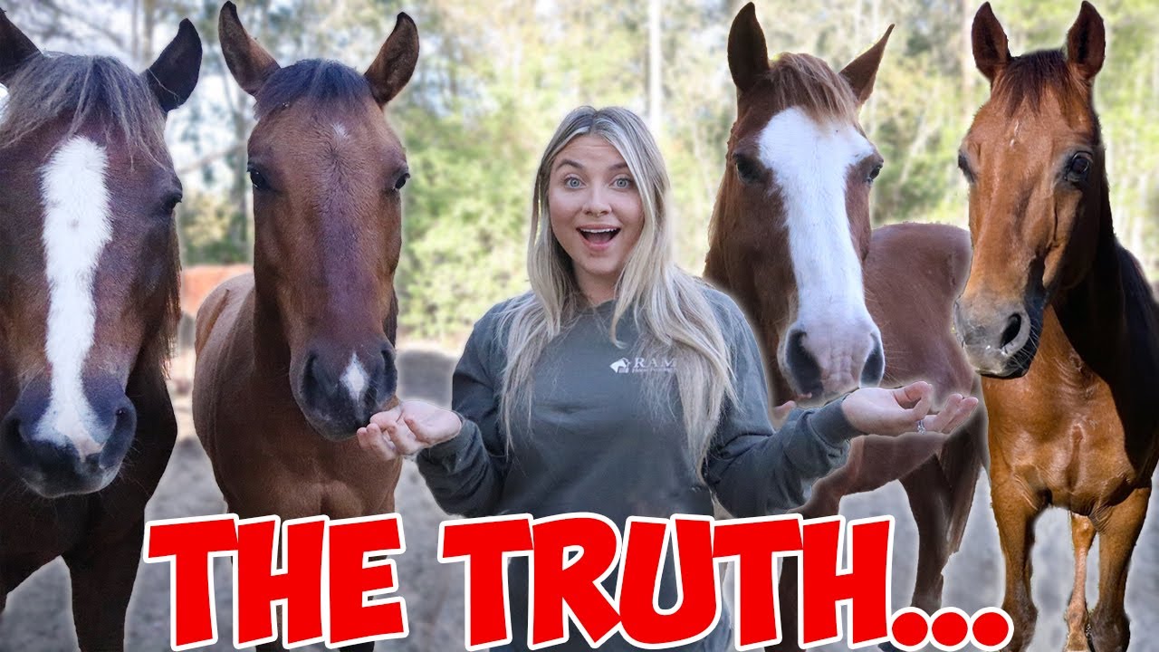 What It's REALLY Like Owning Horses.. THE TRUTH
