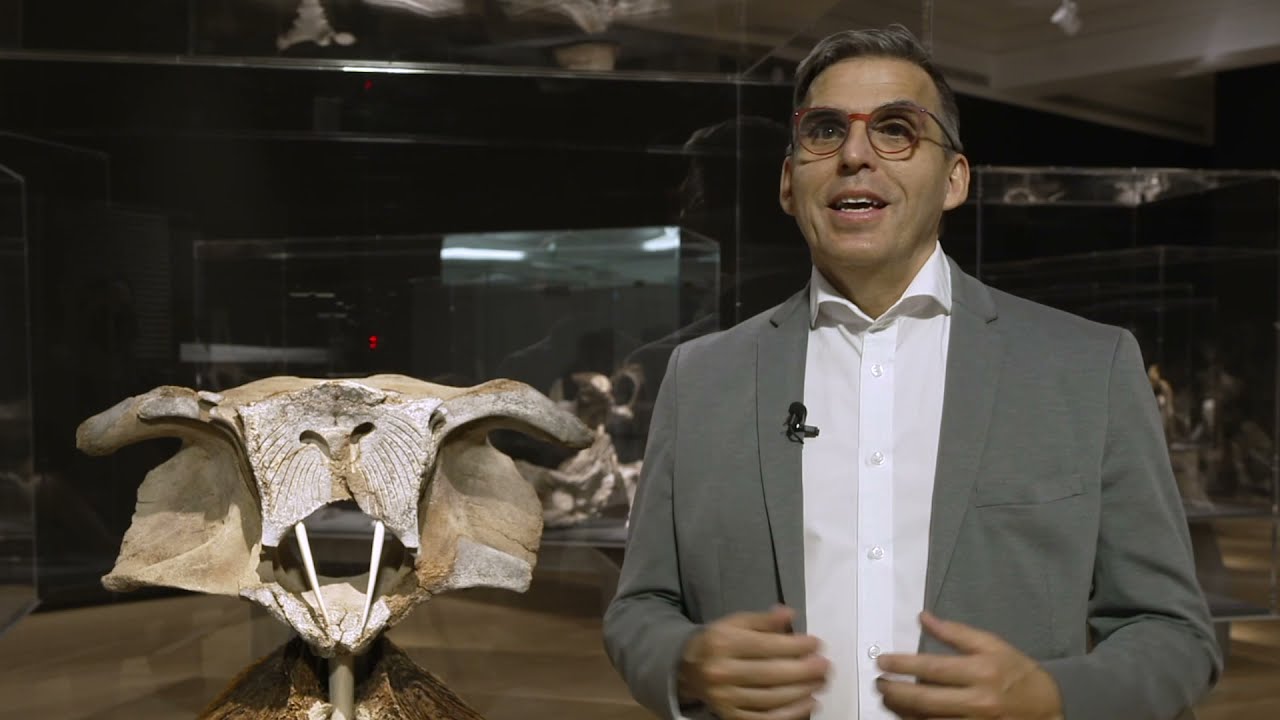 Inauguration virtuelle - Manasie Akpaliapik. Univers inuit. La collection Raymond Brousseau