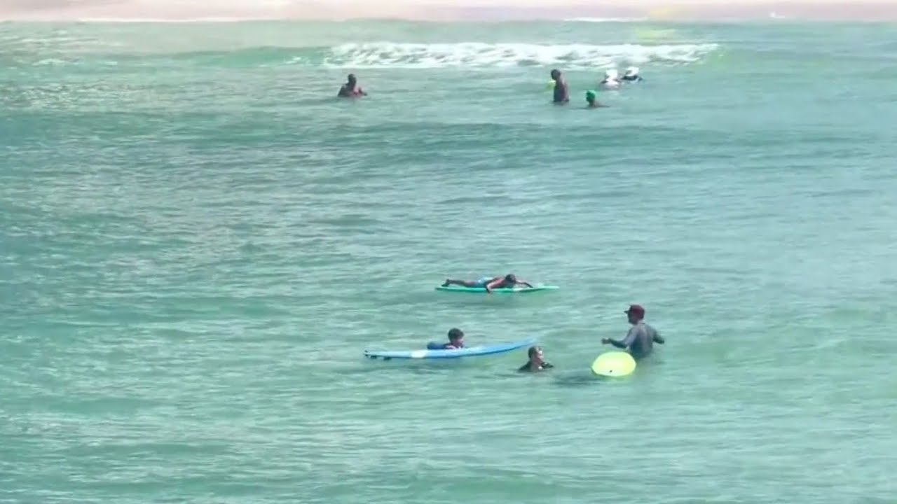 Navy employee attacked by shark off Florida coast