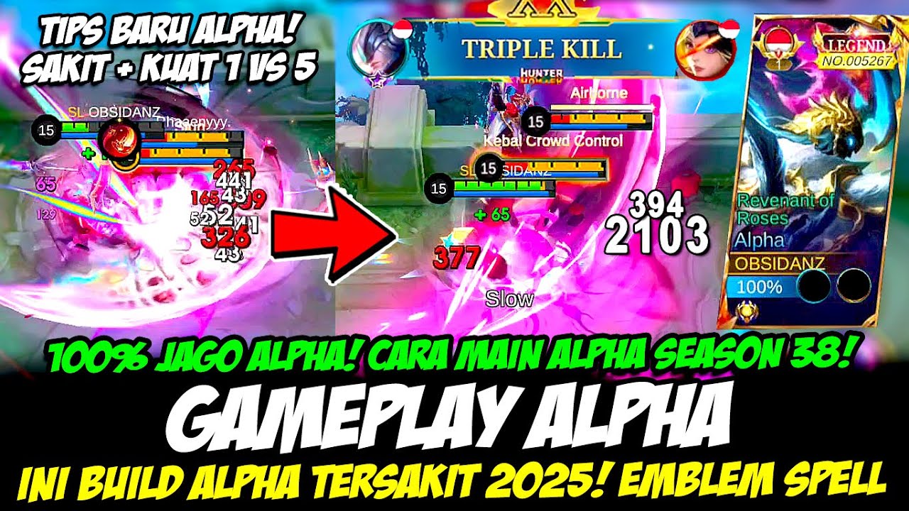 CARA MAIN ALPHA SEASON 38 + TIPS ALPHA 100% JAGO❗BUILD ALPHA TERSAKIT 2025❗GAMEPLAY ALPHA TOP GLOBAL
