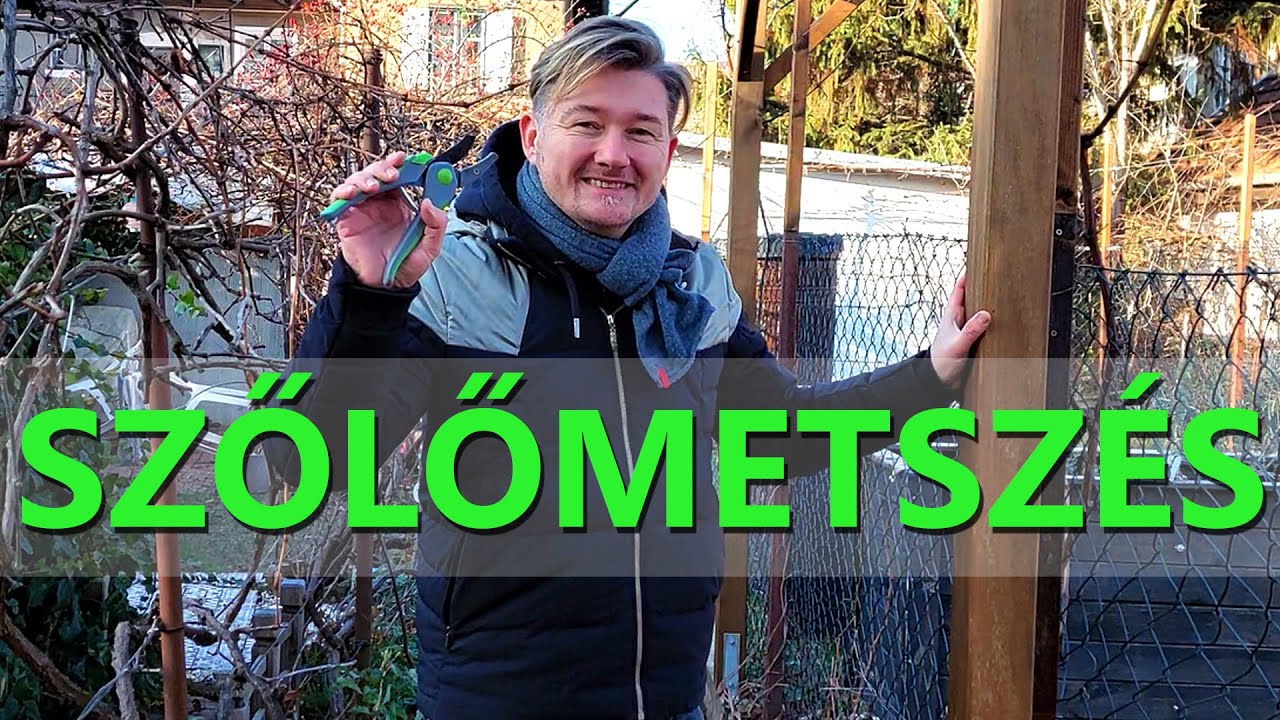 🍇 ОБРЕЗКА ВИНОГРАДА ВМЕСТЕ / Обрезка 1-летнего, 2-летнего столового винограда