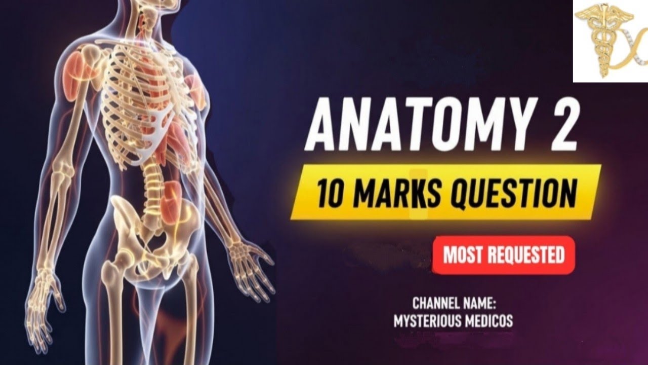 Anatomy - 2 🤯10 Marks Sure Question🔥 | BSMS University Exam @mysteriousmedicosDC 