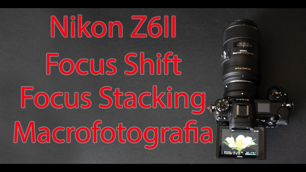 Focus Stacking / Focus Shift con Nikon Z6II in modalità macrofotografia - dal menu alla foto finale!
