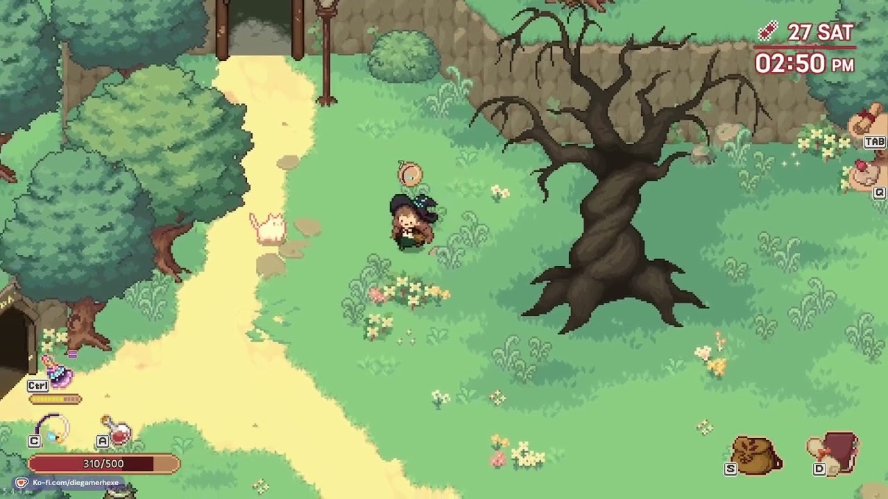 Little Witch in the Woods ~ S2E125 ~ Lange Wartezeiten gefüllt mit viel Gesammel