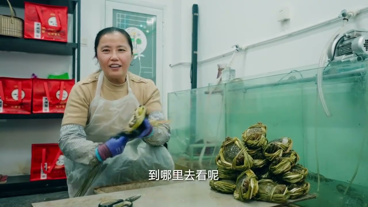 来看春晚