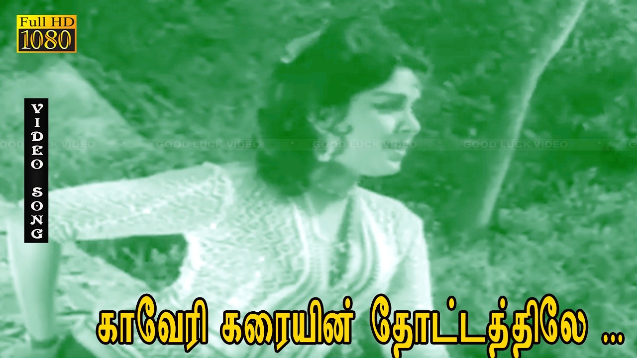 காவேரி கரையின் தோட்டத்திலே பாடல் HD | ஜெய்ஷ்ங்கர், L.விஜயலக்ஷ்மி | வேதா | கண்ணதாசன் | இரு வல்லவர்கள்