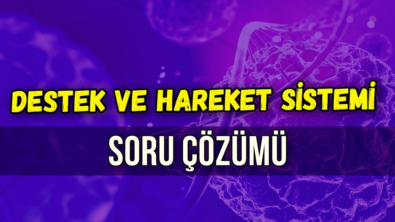 DESTEK VE HAREKET SİSTEMİ SORU ÇÖZÜMÜ l Seda Hoca Biyoloji #ayt2024