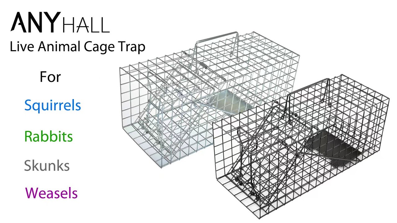 Anyhall Live Squirrel Trap (AH-SQ)