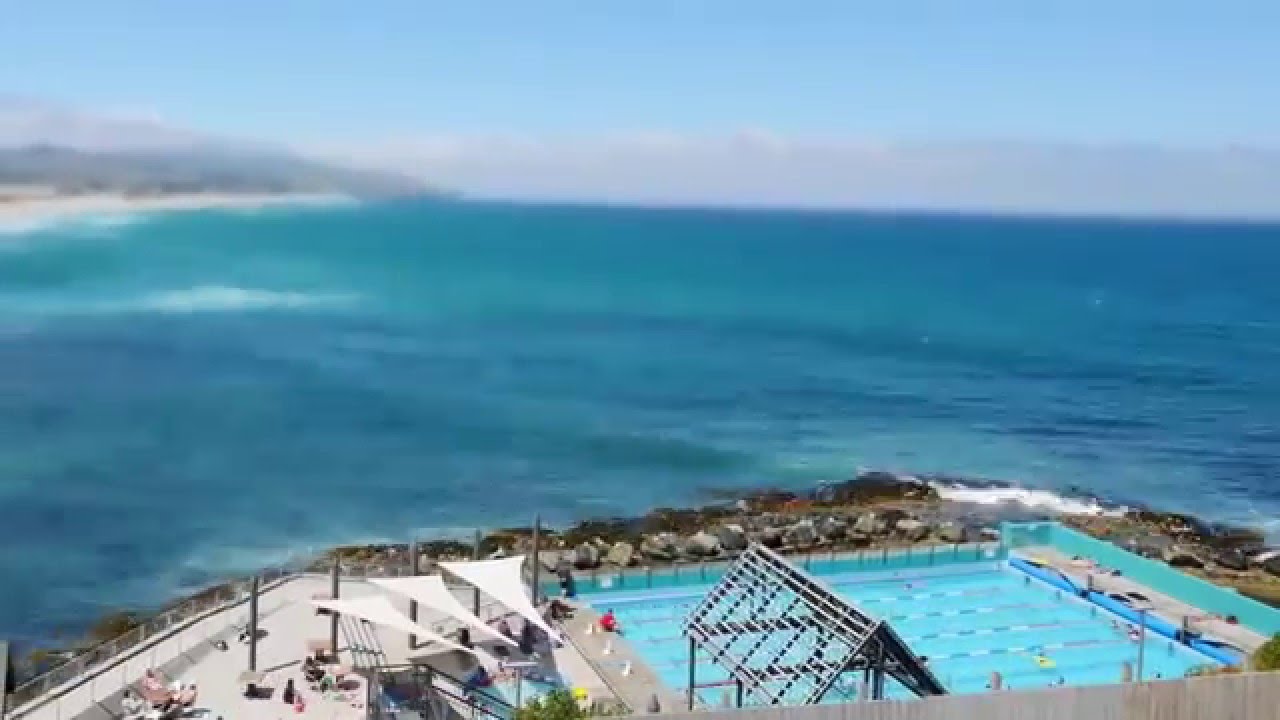 Summer in Dunedin, New Zealand