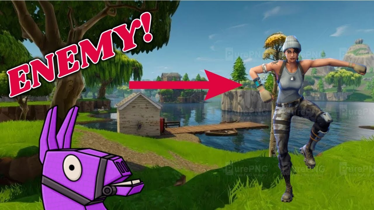 Fortnite | Best Mates |