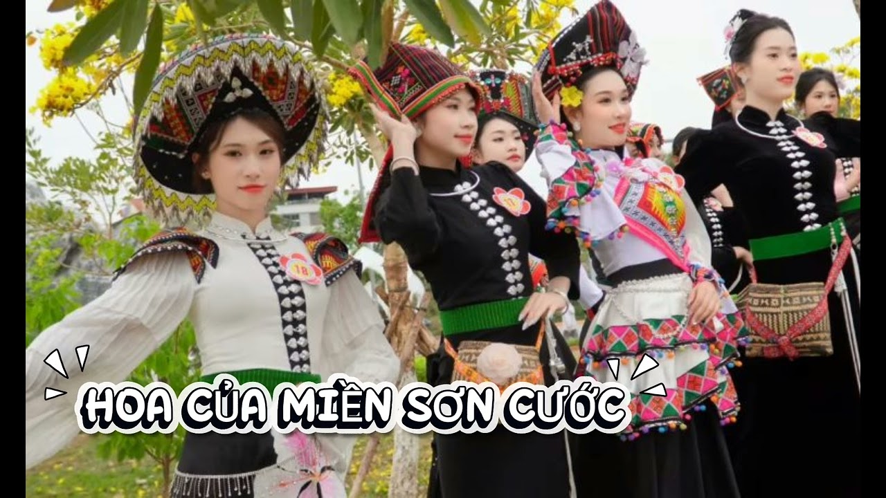 HOA CỦA MIỀN SƠN CƯỚC|NHẬT VƯỢNG CMS|NHẠC TÂY BẮC HAY