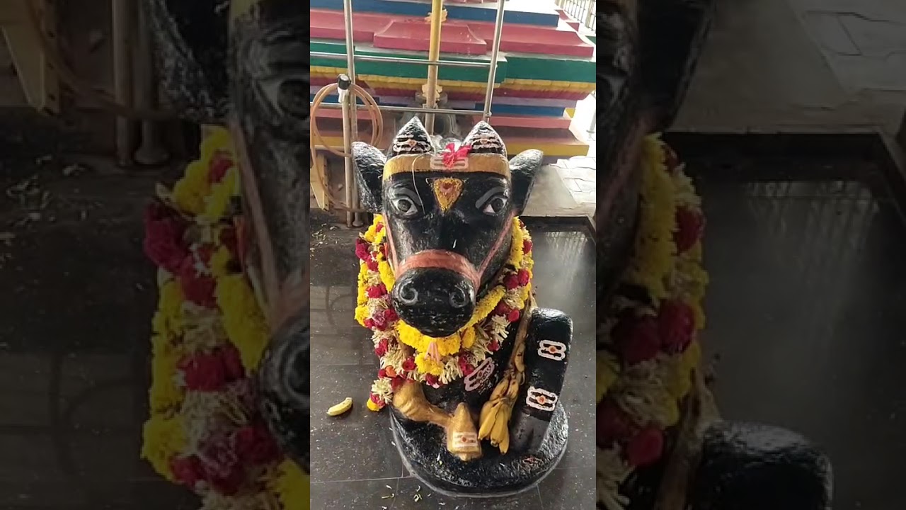 కాట్రేనికోన లోని శ్రీ కుండలేశ్వర స్వామి వారి ఆలయంలో చంద్రగ్రహణం కారణంగా ఆలయ ద్వారాలు మూసివేశారు.