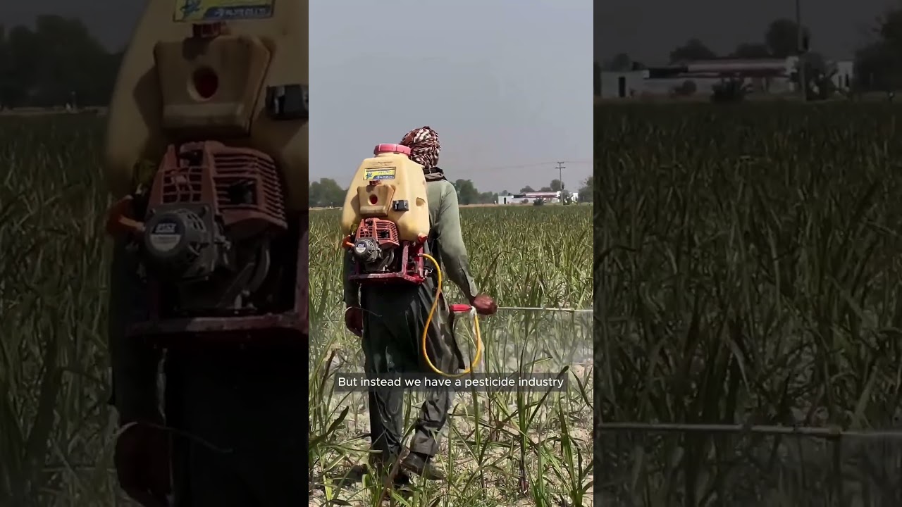 MAHA Commission Report Leak