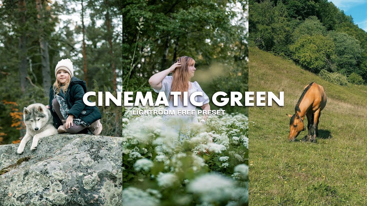 Cinematic Green Lightroom Preset | Moody Film Color Grading