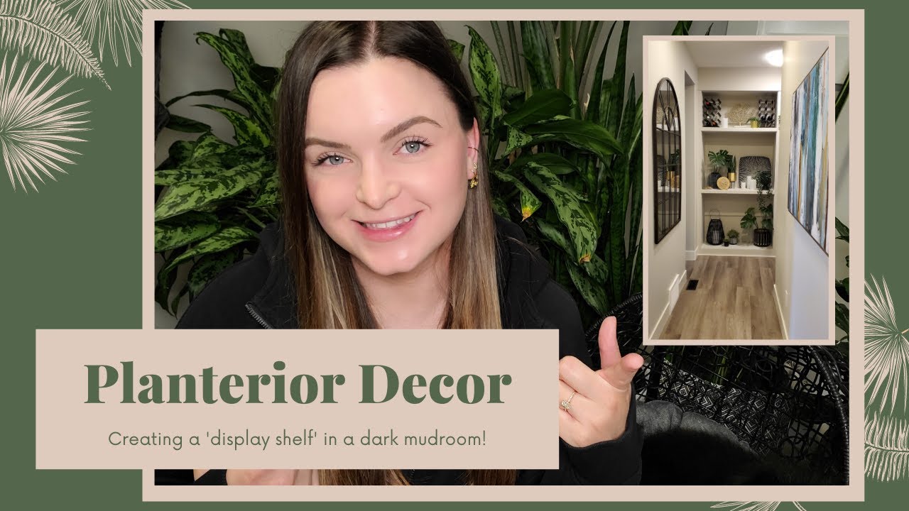 Planterior Decor | Zero-Light Display Shelf