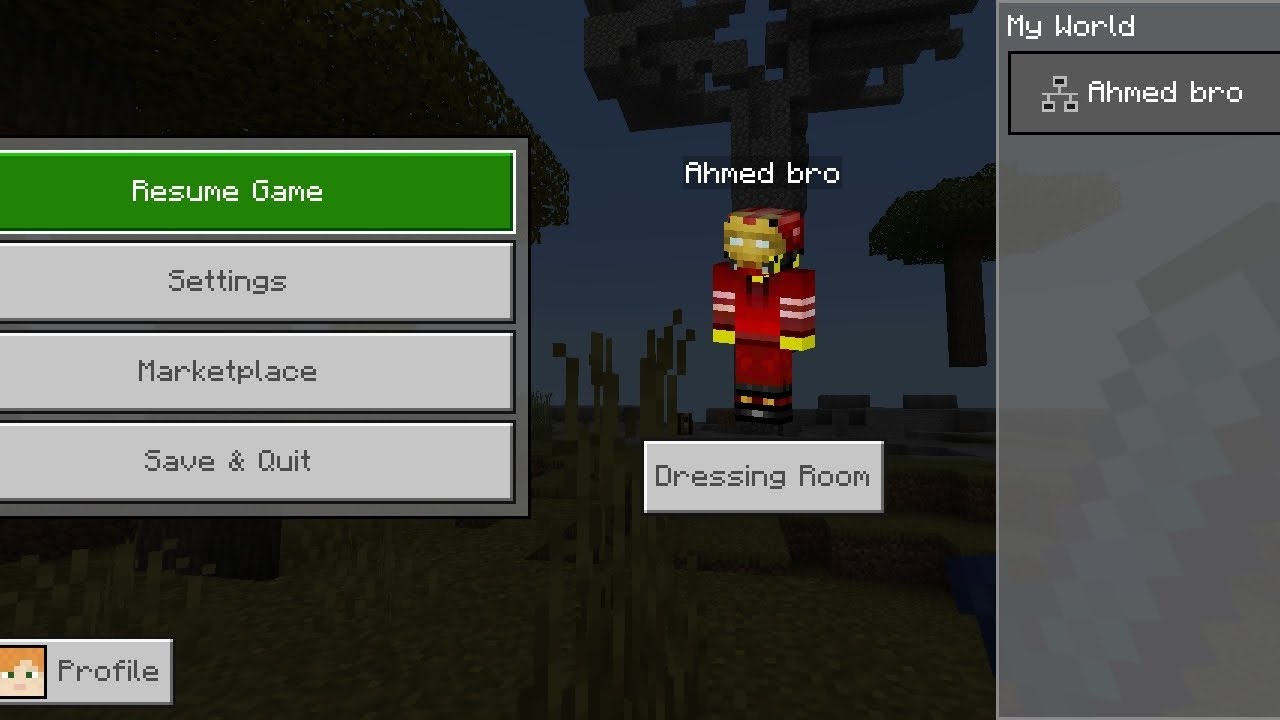 Minecraft mein Hamid Gatha agya