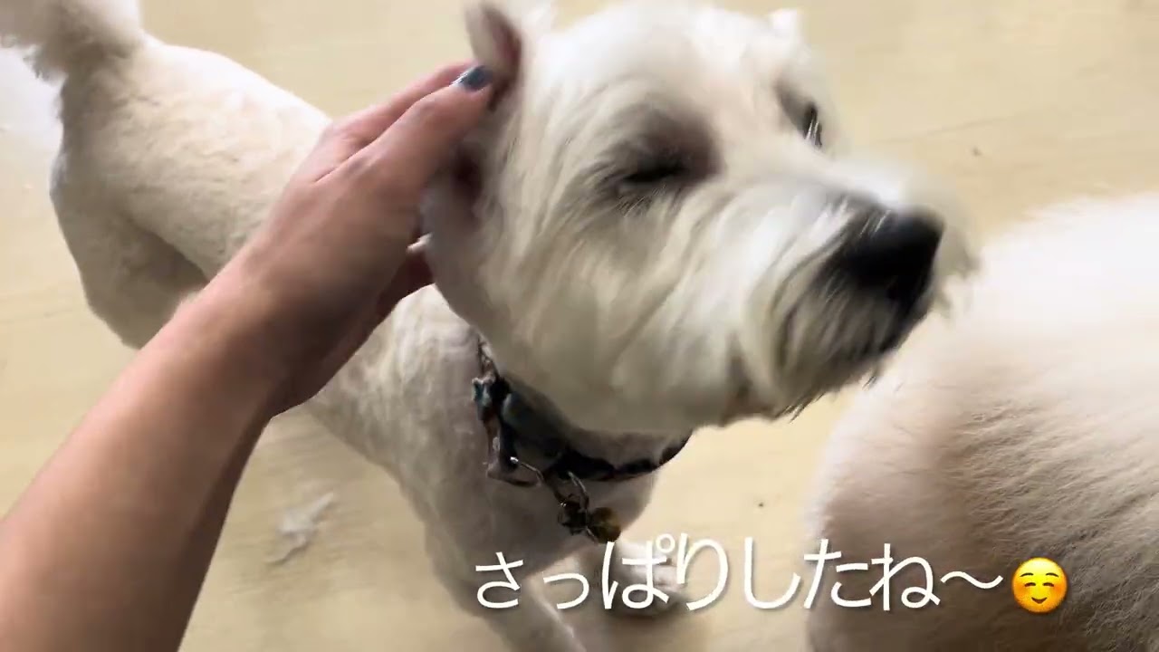 福くん！