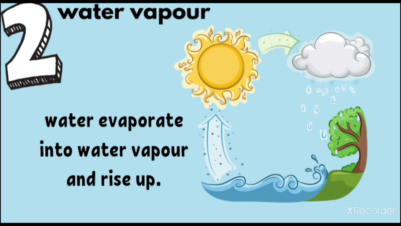Science Year 2 water cycle