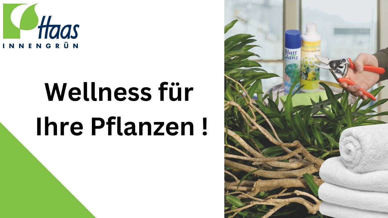 Wellness für Ihre Pflanzen