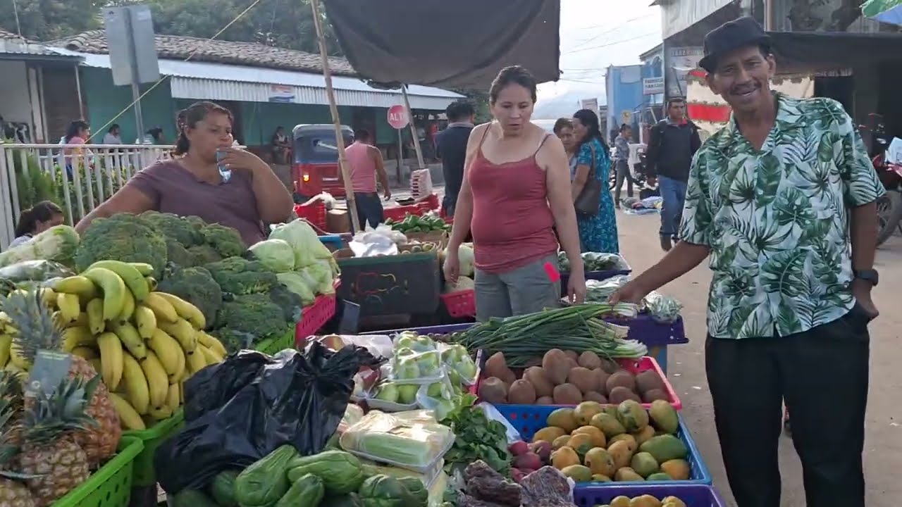 La plaza de San Luis de la Reina 👑 con los mejores precios de frutas 🍇 y verduras 🥒
